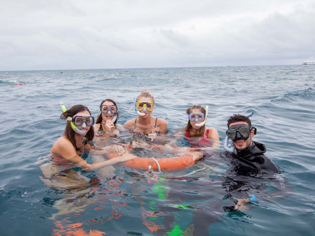 great barrier reef snorkelling